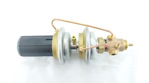 Danfoss 003H6923 - AVPQ 4 Регулятор перепада давления DN 1