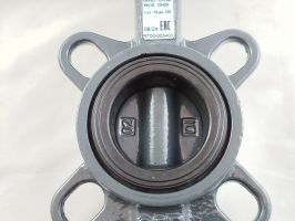 Ridan 082X4401R - Затвор дисковый поворотный РИДАН ЗДМ 03.16.050 PN16 DN50 корпус GG25, диск - чугун GGG40, уплотнение EPDM, управление - рукоятка