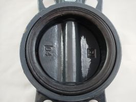 Ridan 082X4404R - Затвор дисковый поворотный РИДАН ЗДМ 03.16.100 PN16 DN100 корпус GG25, диск - чугун GGG40, уплотнение EPDM, управление - рукоятка
